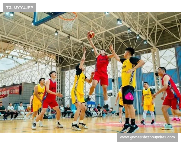 MYBA赛事免费开放，市民携子感受篮球热情